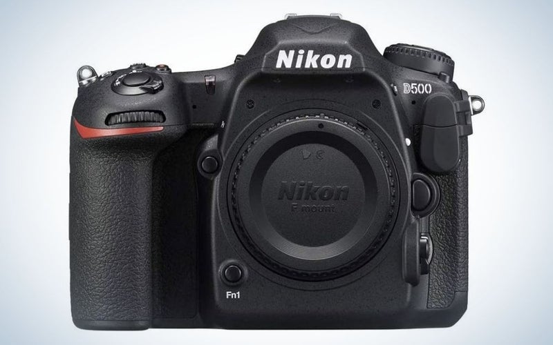 Nikon D500 is the best DSLR camera for wildlife photography.