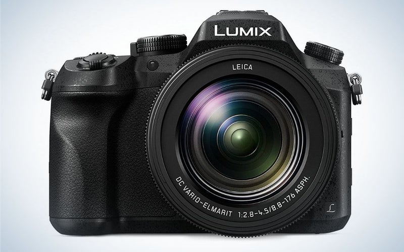 Panasonic LUMIX FZ2500 is the best affordable camera for wildlife photography.