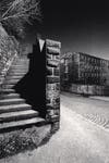 A black and white photo of an empty set of stone stairs.