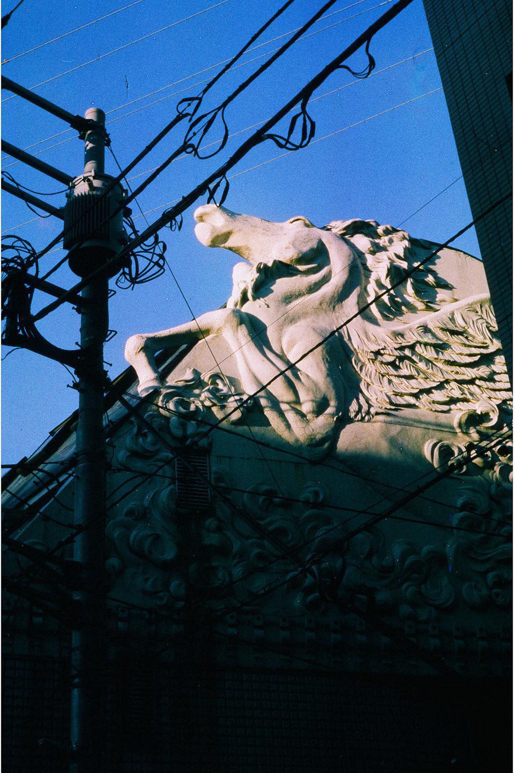 Behind it is a sculpture with a blue sky, shot with the new Fugufilm 400 slide film.