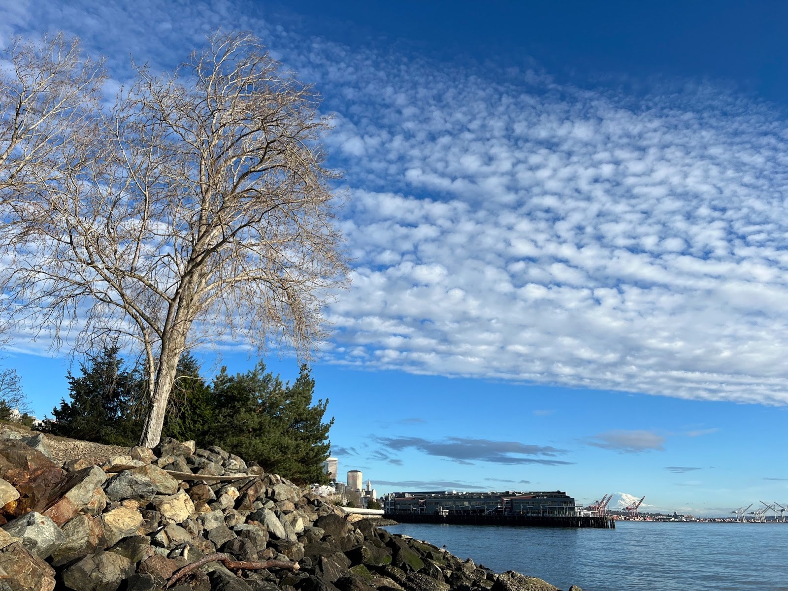 A lake scene with a blue sky and tree in the foreground.