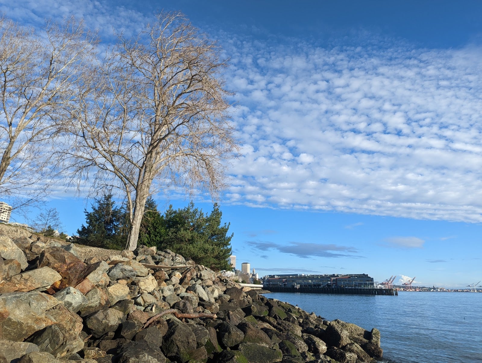 A lake scene with a blue sky and tree in the foreground.