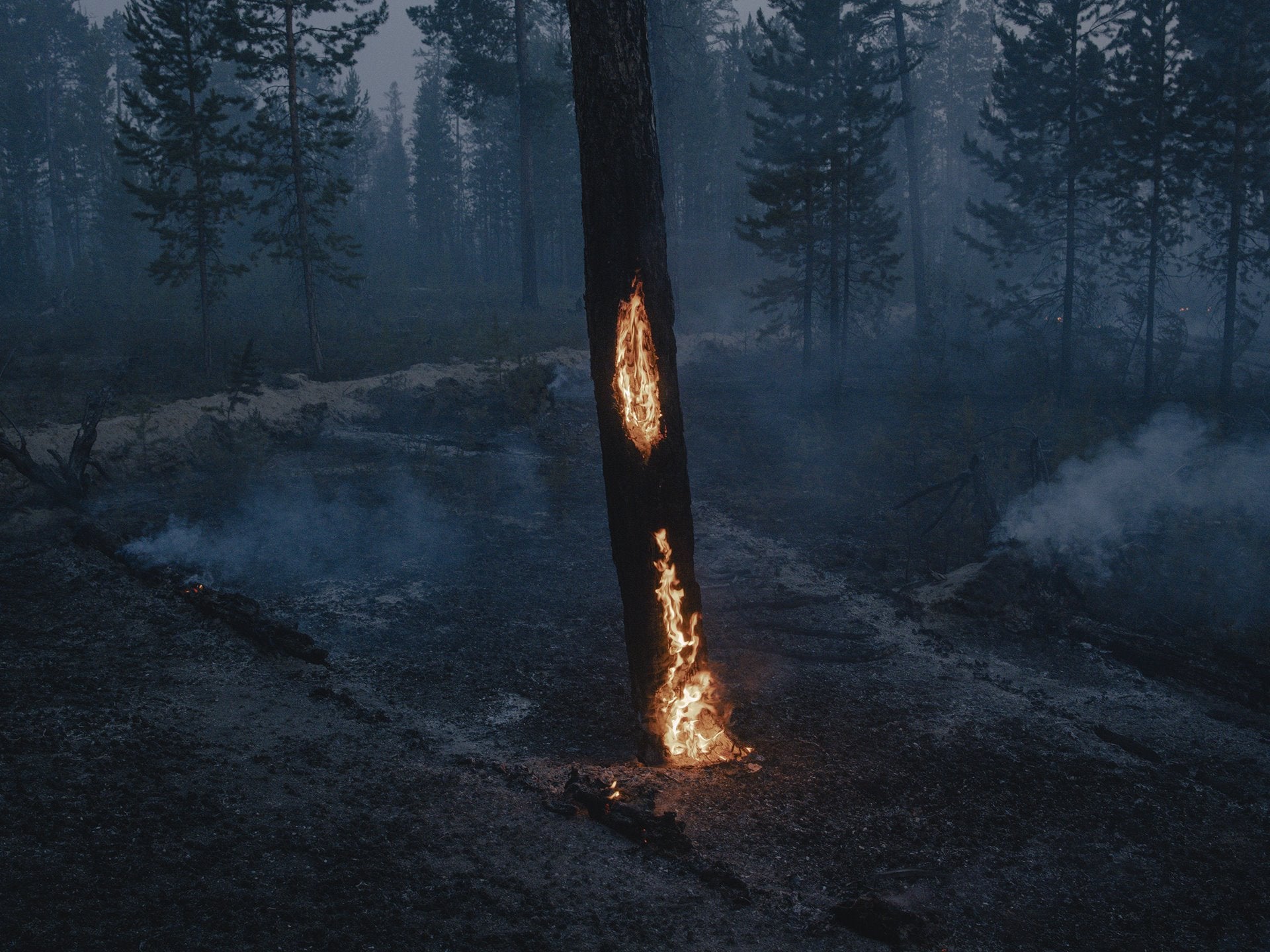 Russian-German photographer Nanna Heitmann won the Stories category for As Frozen Land Burns, her series documenting forest fires and the fallout of them in Siberia, Russia.