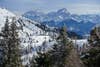 A photo of the snowy Italian Alps.