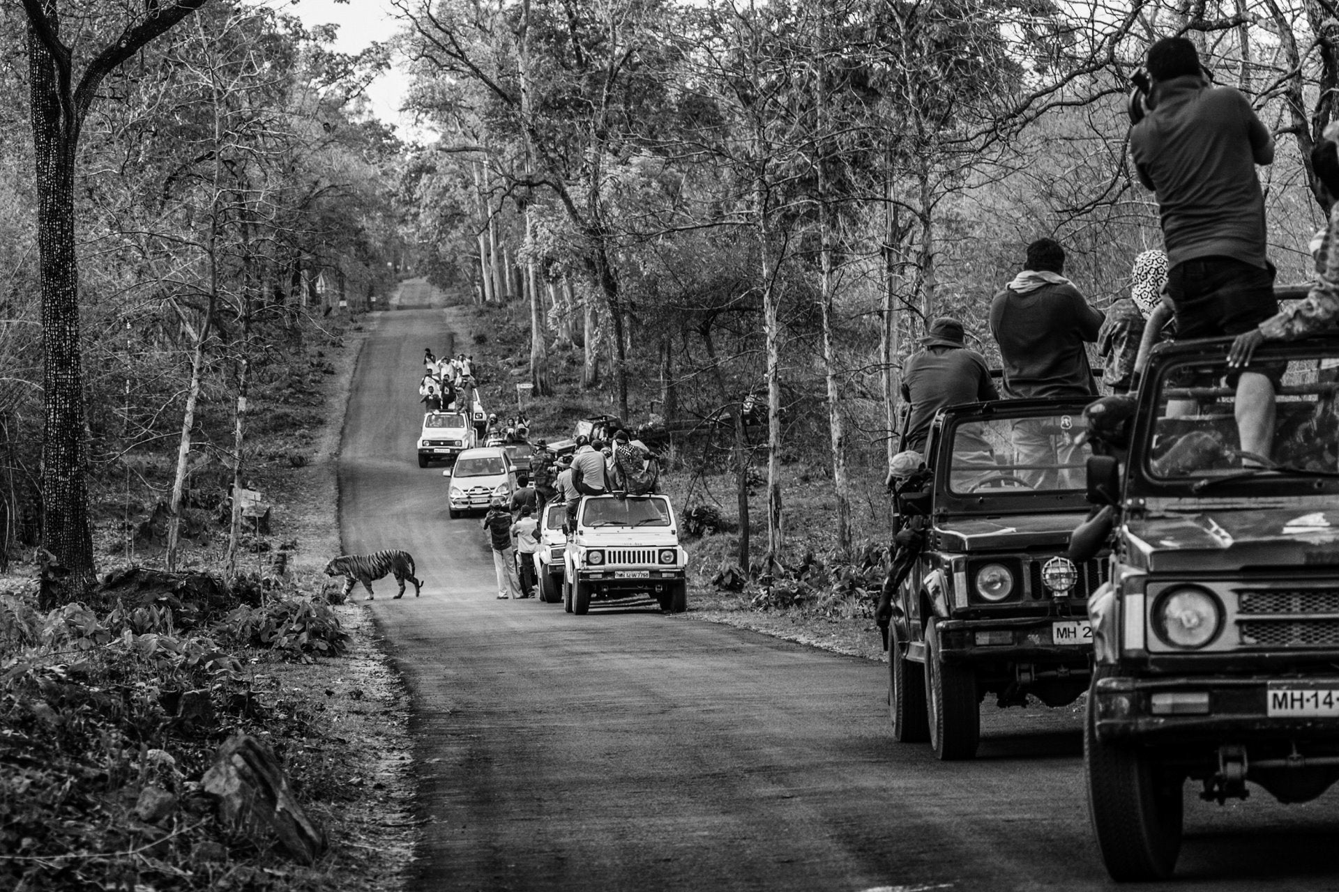 Indian photographer Senthil Kumaran’s Boundaries: Human-Tiger Conflict won the Long-Term Projects category.