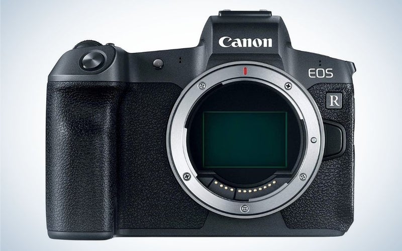 Canon EOS R is the best budget pick Canon camera for wedding photography.