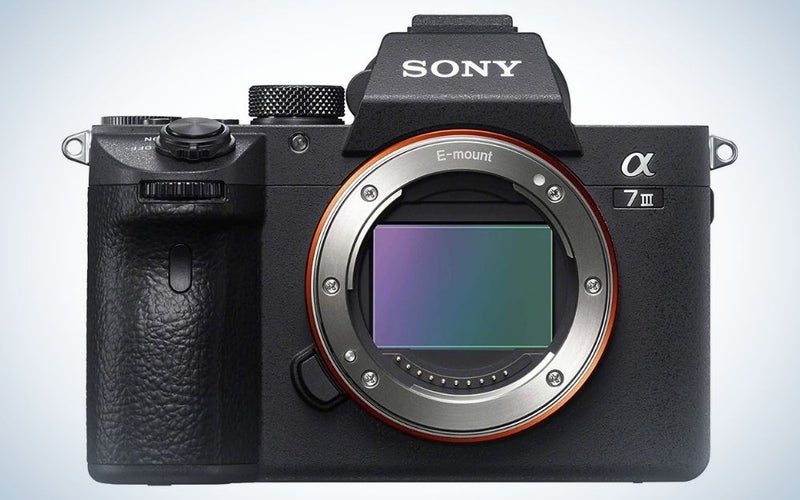Sony A7 III is the best budget pick Sony camera for wedding photography.