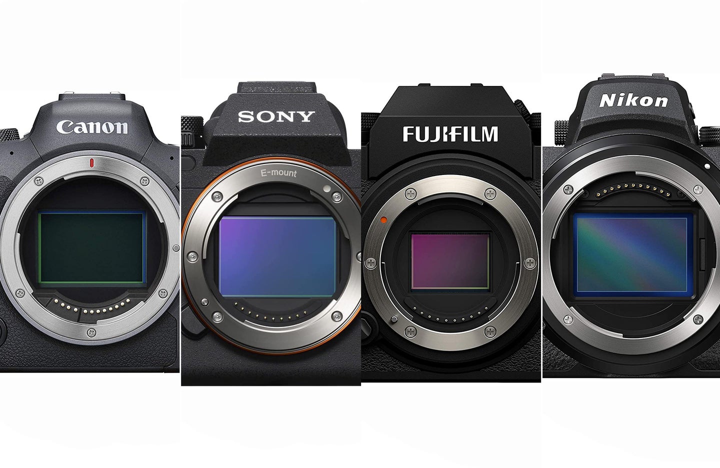 The best cameras for wedding photography composited