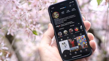 10 Instagram accounts to follow if you love nature & wildlife photography 10 Instagram accounts to follow if you love nature & wildlife photography