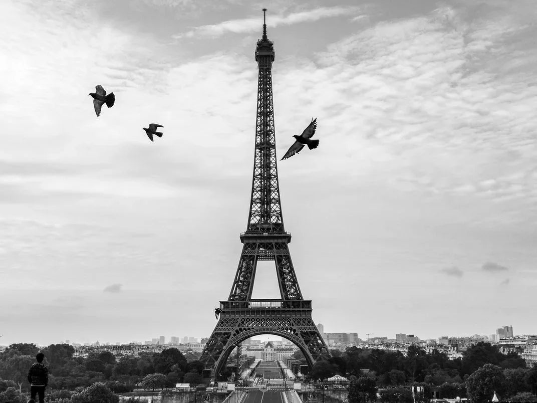 Black and white photo of the eiffel tower at sunrise as three pigeons fly across the sky