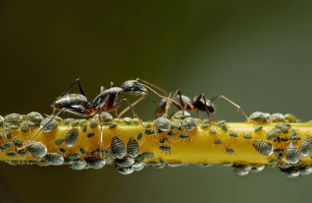 See the winners of Smithsonian Magazine’s 19th annual photo contest