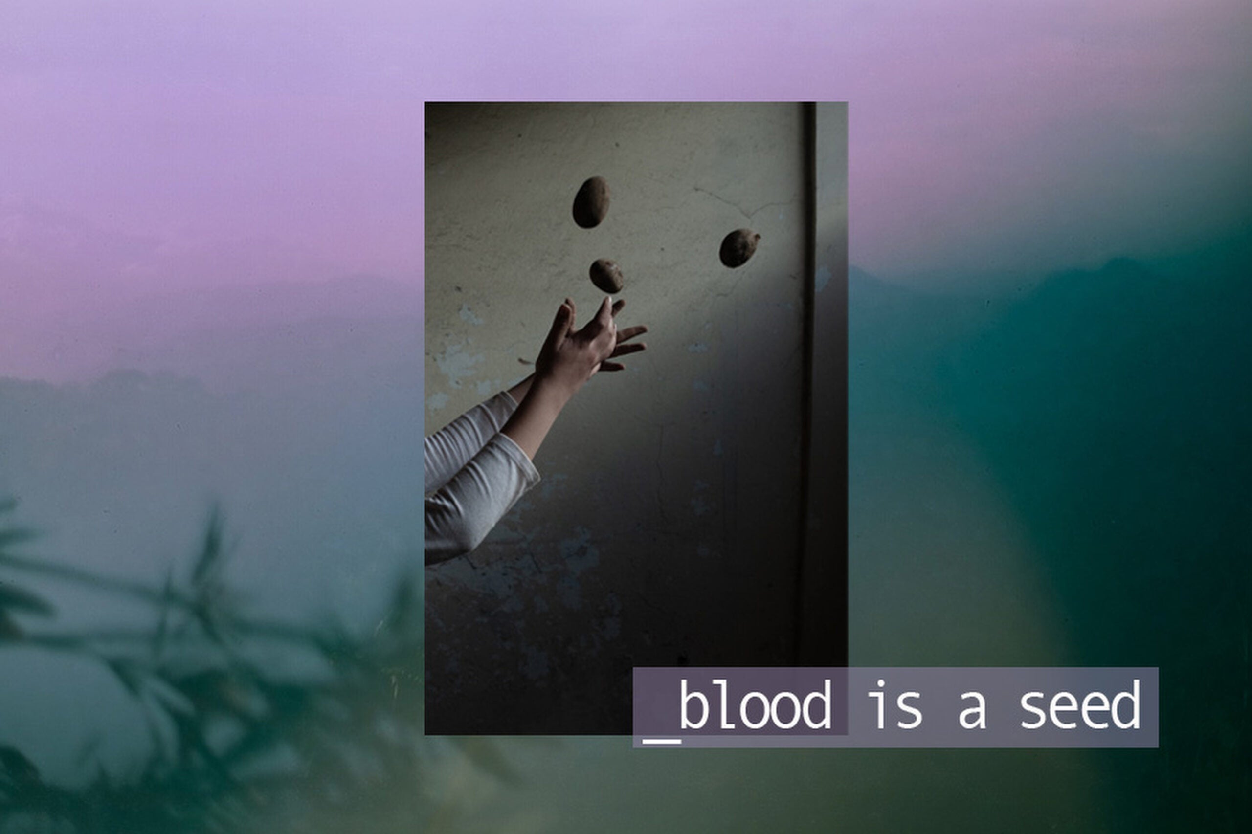 World Press Photo Open Format Award (Global) - Blood is a Seed by Isadora Romero