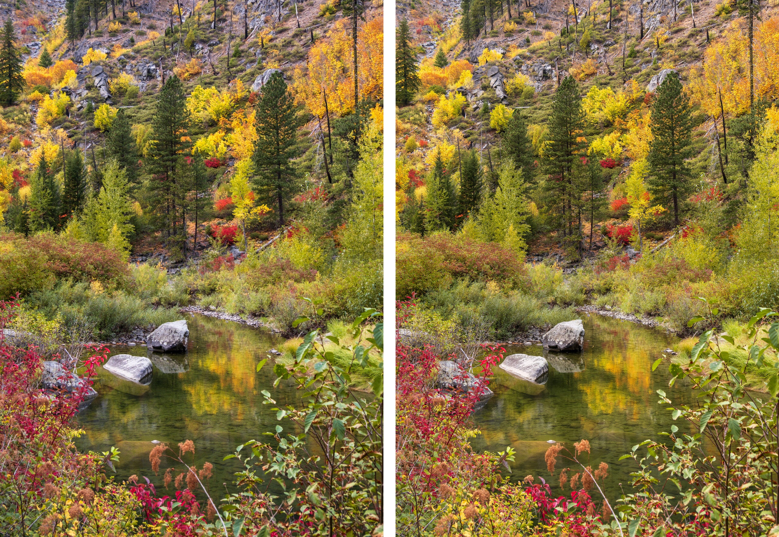 A photo of fall foliage with a pond in center.