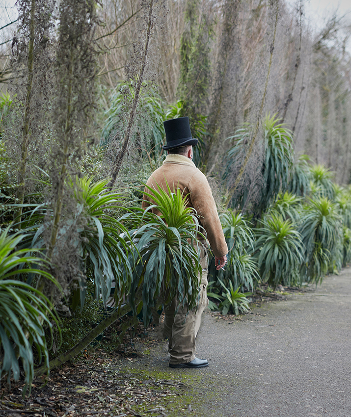 a man in a top hat stands between short palm trees 