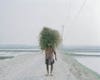 a man stands on a sandy pathway holding a cluster of grass on his head 