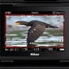 A red border of a display of a bird flying.