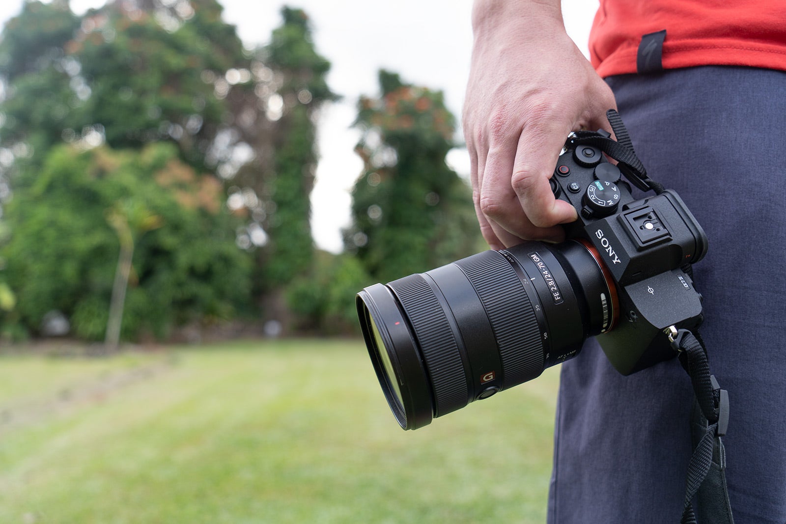 Our In-Depth Review of the Sony a7 IV