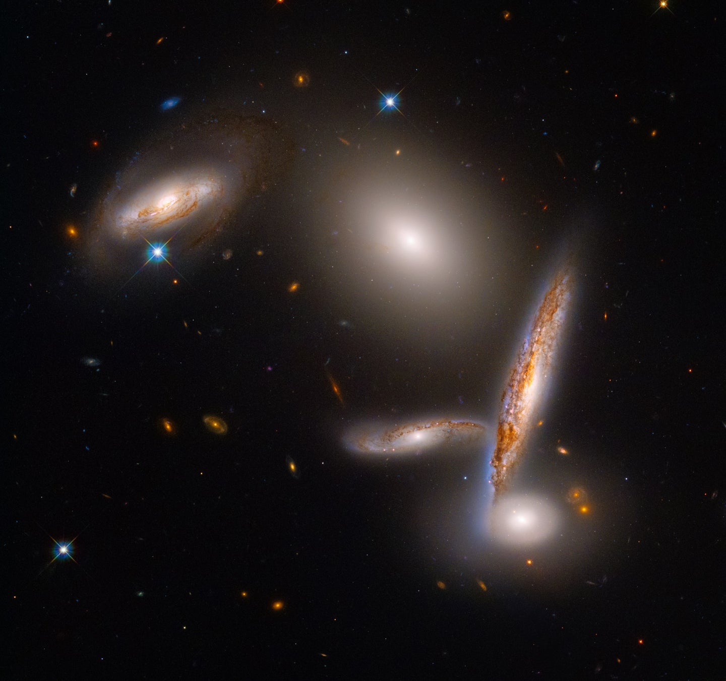 hubble space telescope photograph of 5 galaxies known as the Hixon Compact Group 40