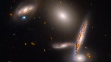 hubble space telescope photograph of 5 galaxies known as the Hixon Compact Group 40