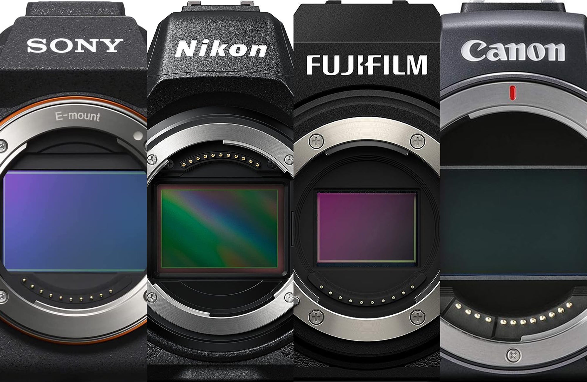 nikon astrophotography camera