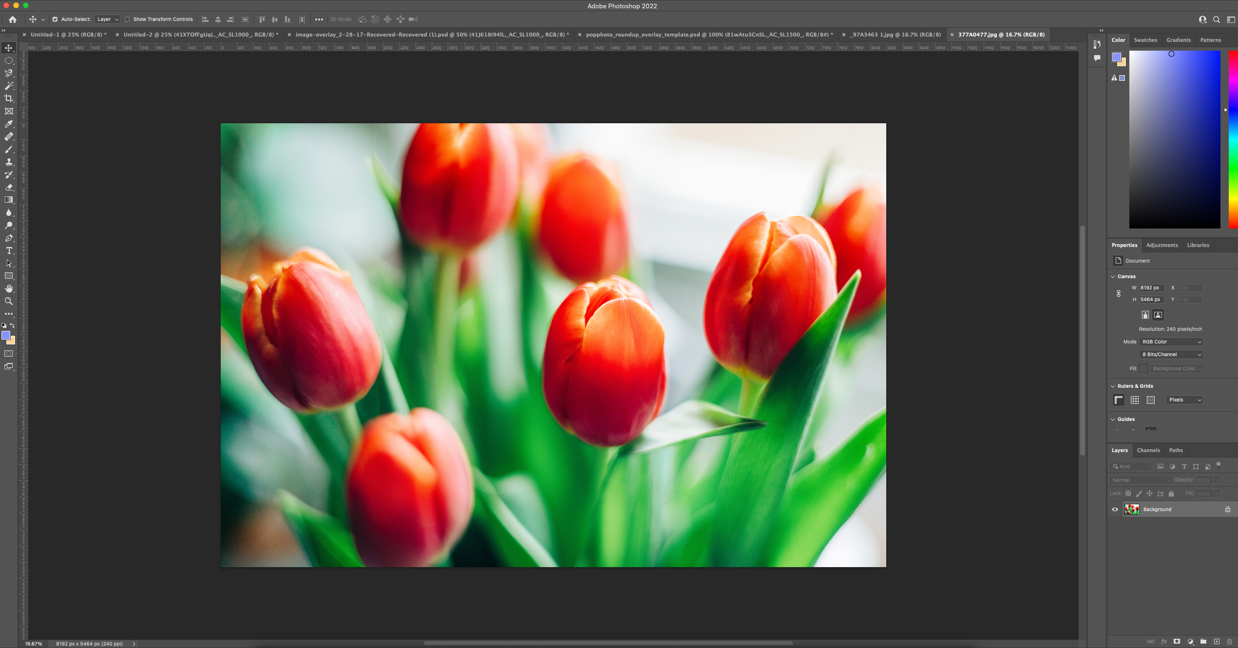 Forgænger Samarbejde Creed The best photo editing software for Macs in 2023 | Popular Photography