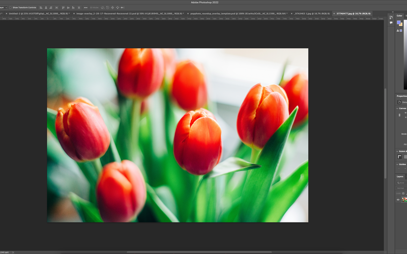Best photo editing software for Macs in 2023 | Popular Photography