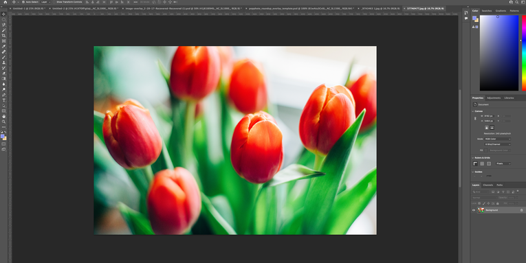 The best photo editing software for Macs in 2023 The best photo editing software for Macs in 2023