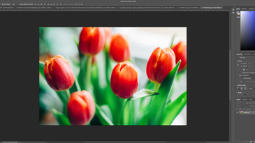 Best photo editing software for macs in 2022