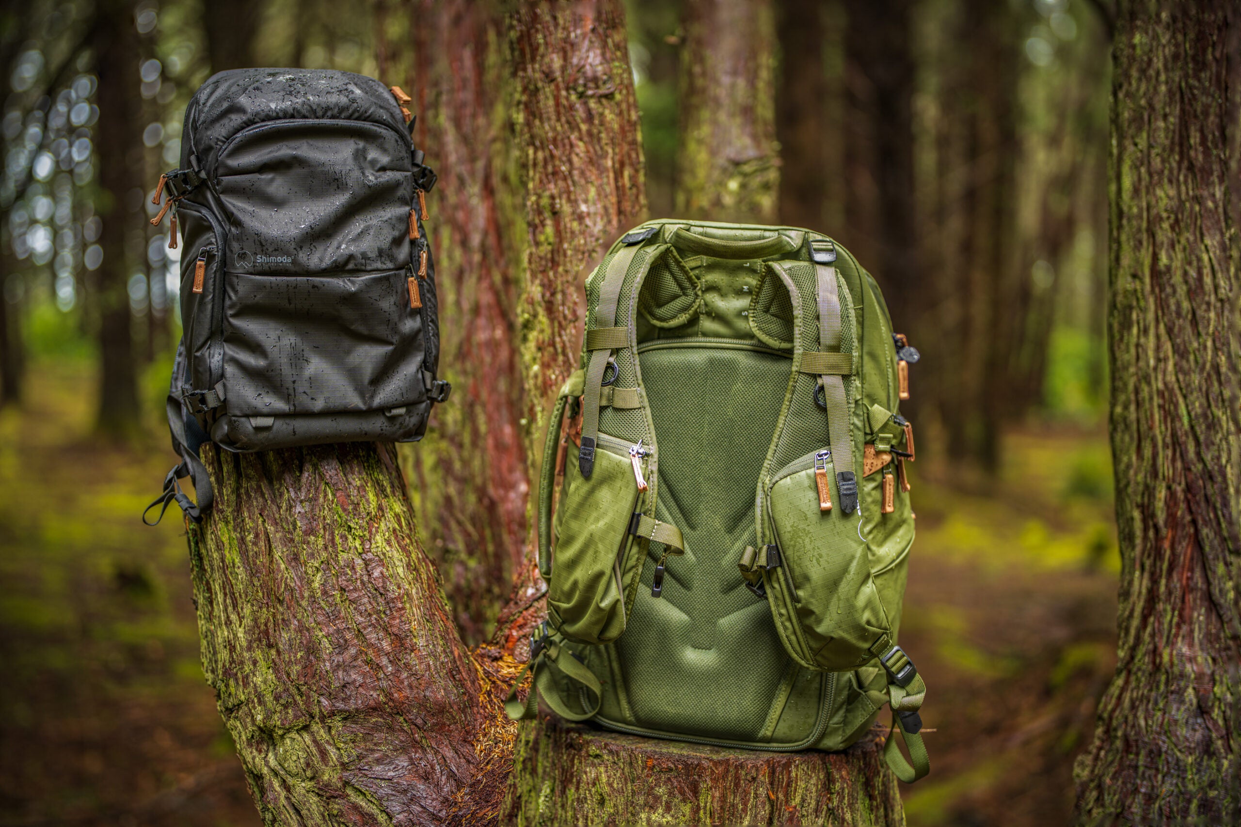 Front and back of the new Shimoda Design Explore V2 backpacks.