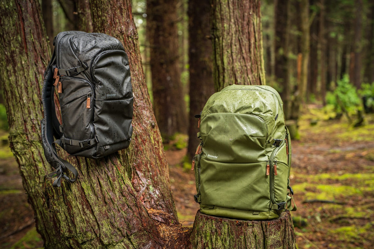 The new Shimoda Design Explore V2 backpacks.