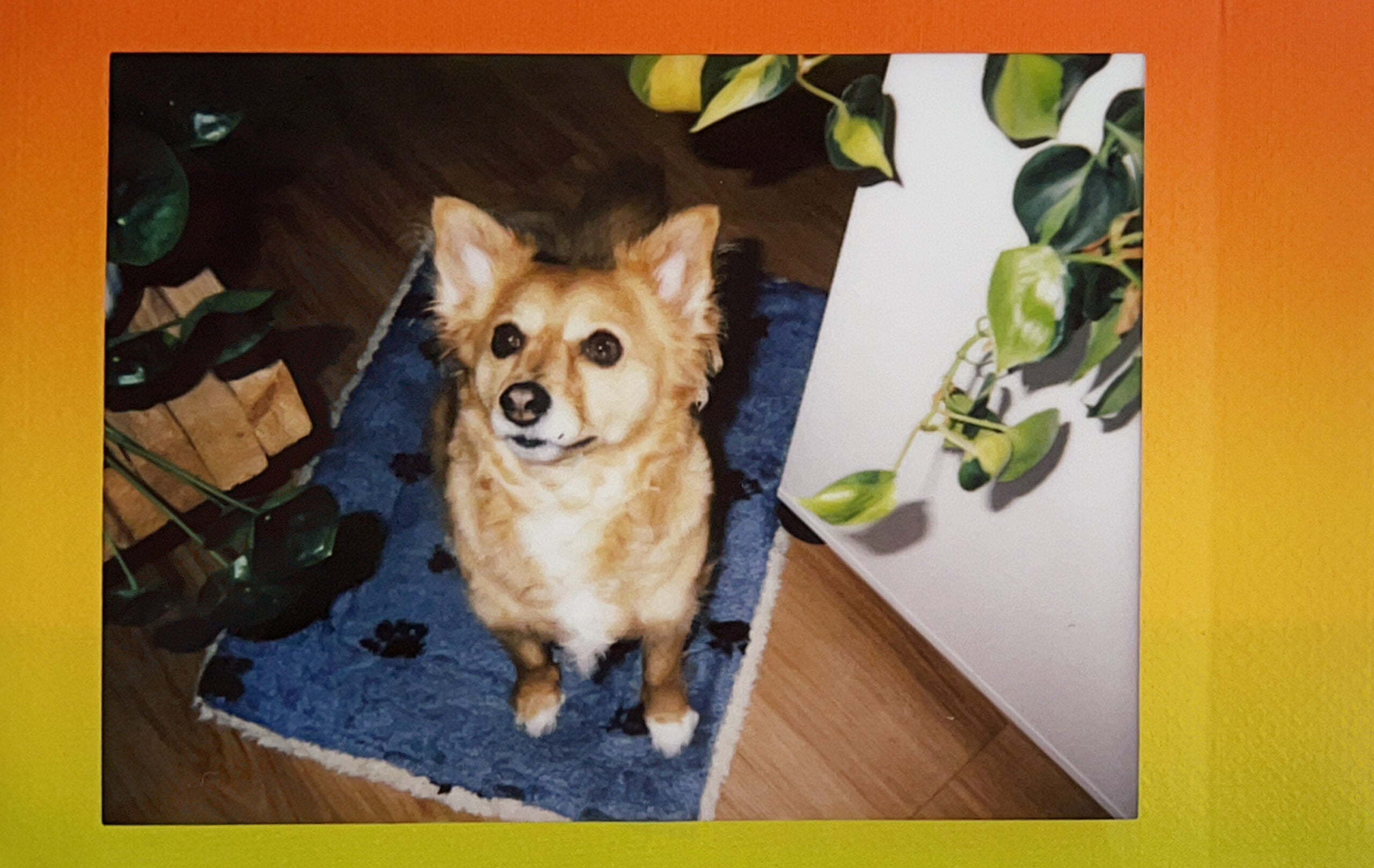 An Instax photo of a cute dog.