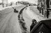 a young boy attempts to haul a huge garbage can up a steep driveway