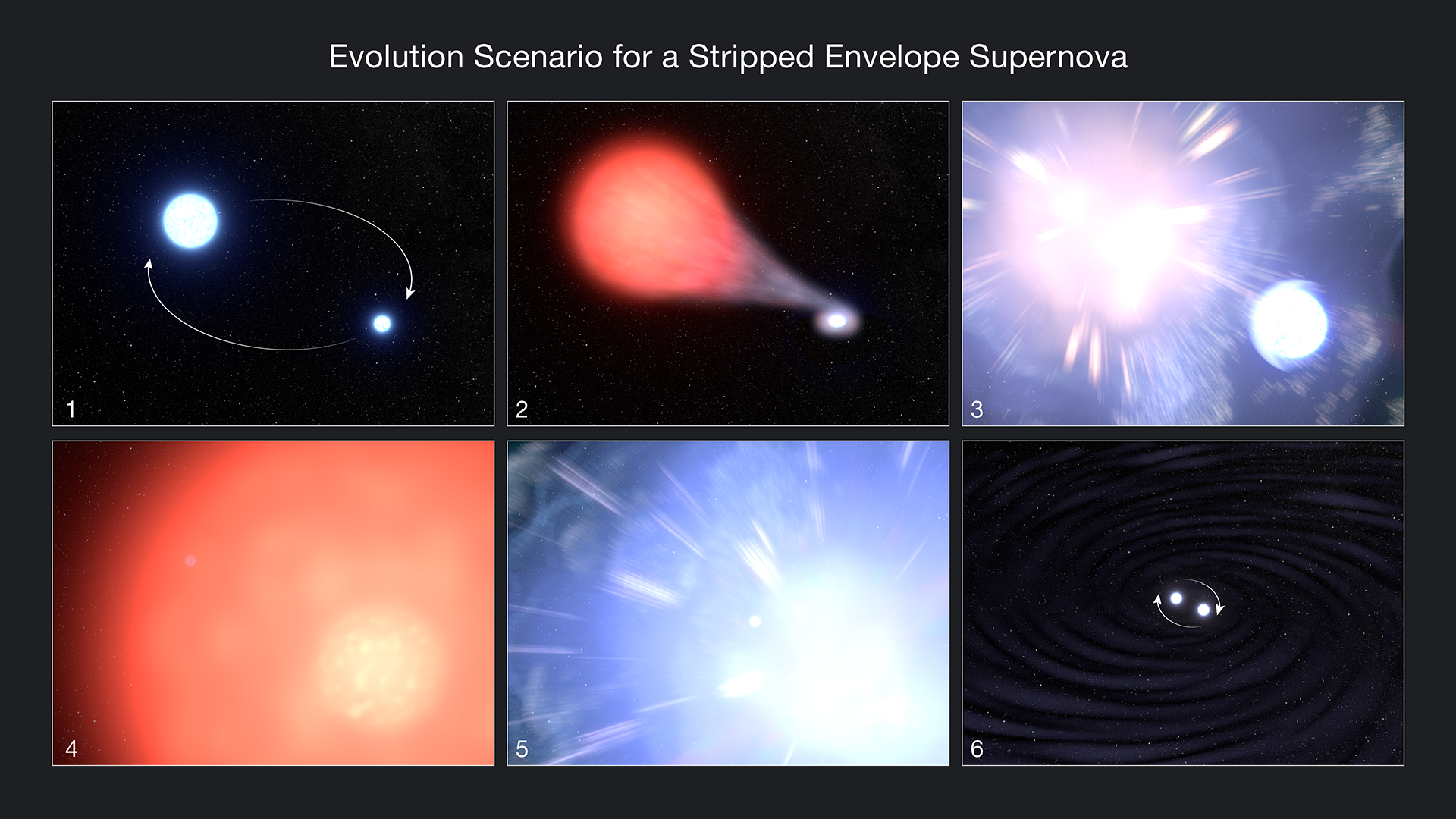 A newly discovered supernova companion star may prove Einstein's theories correct
