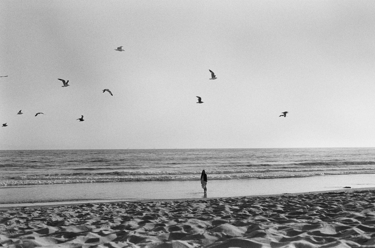 birds fly in the sky as a woman stands on the shore of a beach at sunset