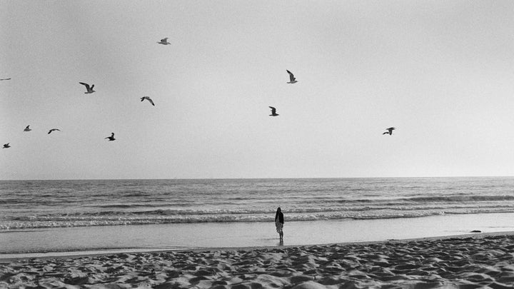 birds fly in the sky as a woman stands on the shore of a beach at sunset