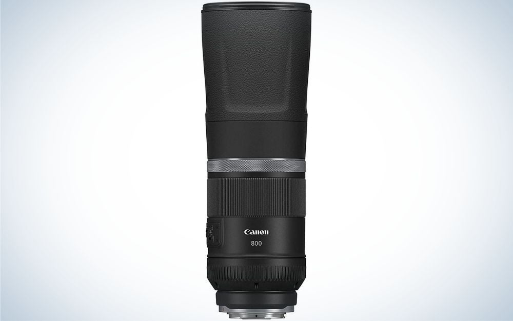 Canon RF 800mm f/11 IS are the best telephoto lenses for Canon.