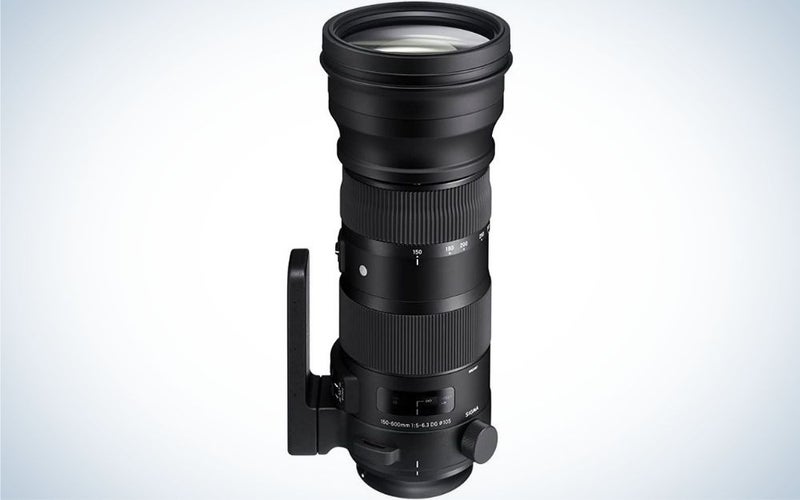 Sigma 150-600mm f/5-6.3 DG OS HSM Sports are the best telephoto lenses for Canon.