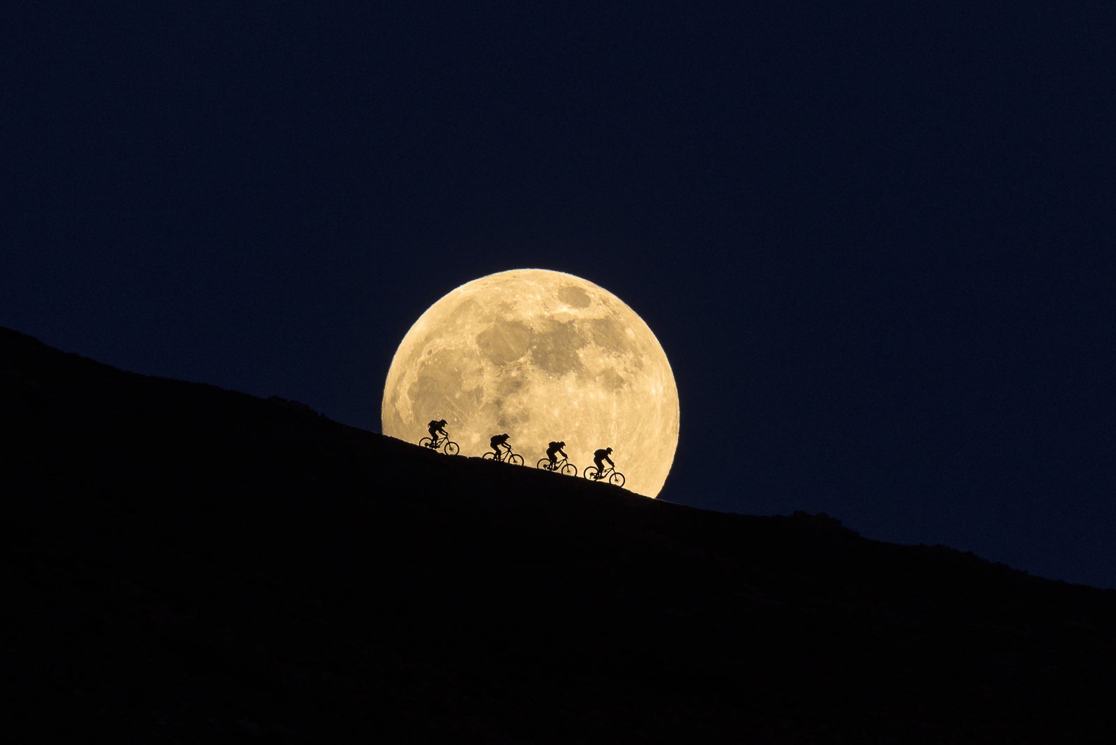 four silhouettes of cyclists against the moon