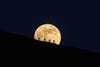 four cyclists silhouettes against the moon