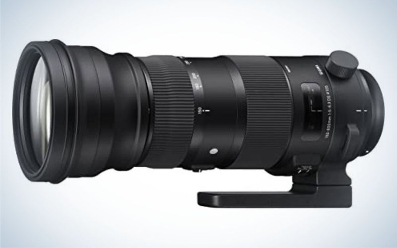 Best_Telephoto_Lenses_for_Nikon_Sigma