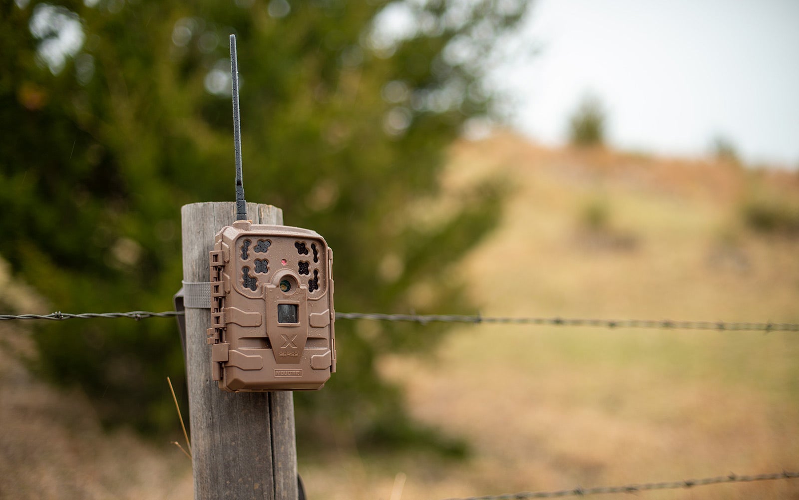 The Moultrie Mobile Delta Base is the best for deer.