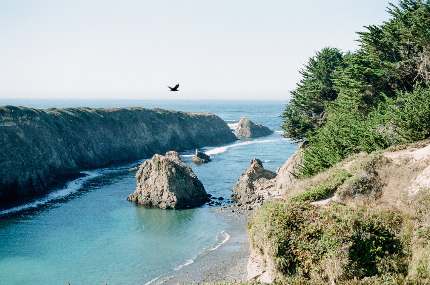 mendocino headlands californai