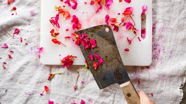 Cig Harvey explores grief and death through the quiet beauty of floral life Cig Harvey explores grief and death through the quiet beauty of floral life