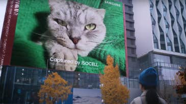 Me(w)ow! Samsung’s new 200-megapixel smartphone sensor shot this larger-than-life-cat print