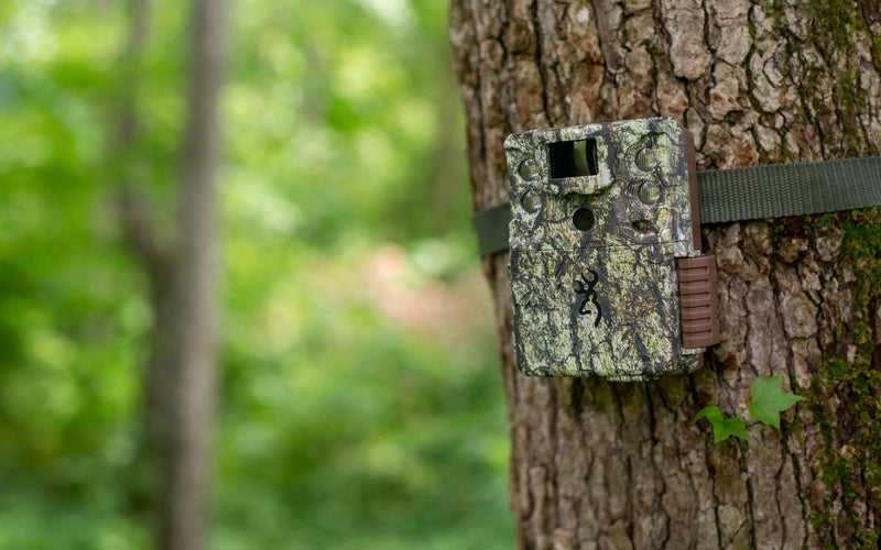 The best trail cameras under 100 in 2023 Popular Photography