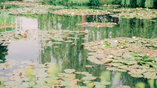 Cannonball! Dive in and show us your best water shots