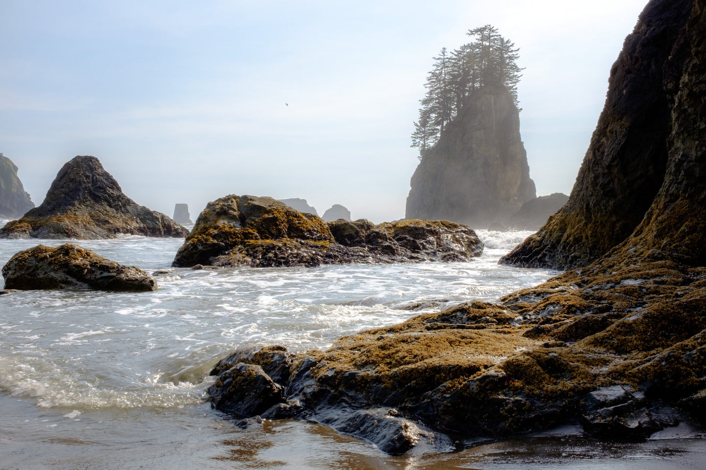 olympic national park