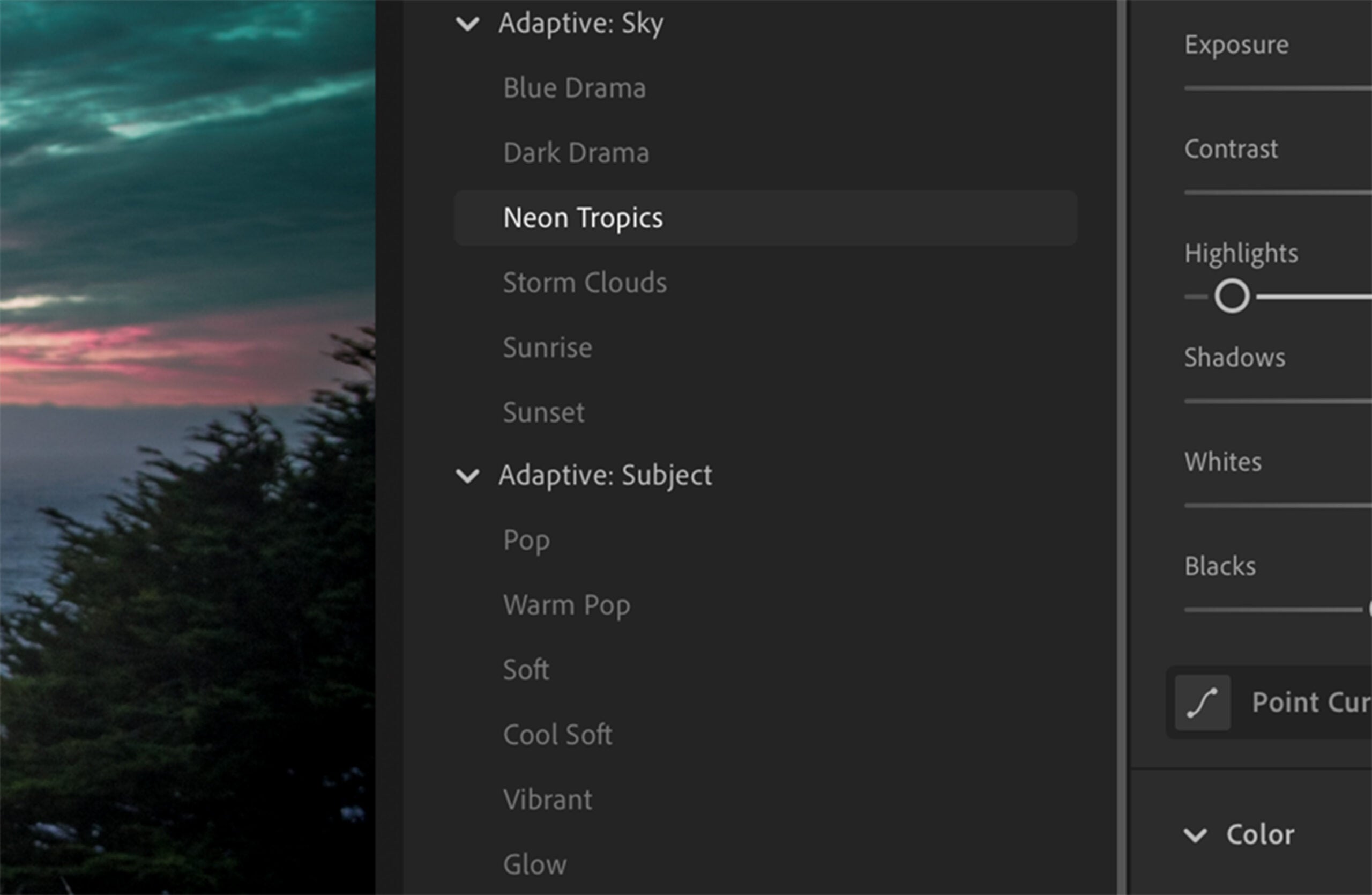 Adaptive filters in Lightroom