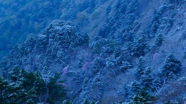 The new Tamron 17-70mm f/2.8 is a well-priced alternative to Fujifilm’s own f/2.8 standard zoom