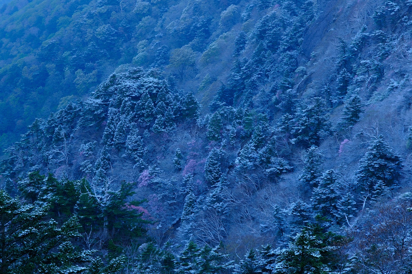 Snow covered mountainside